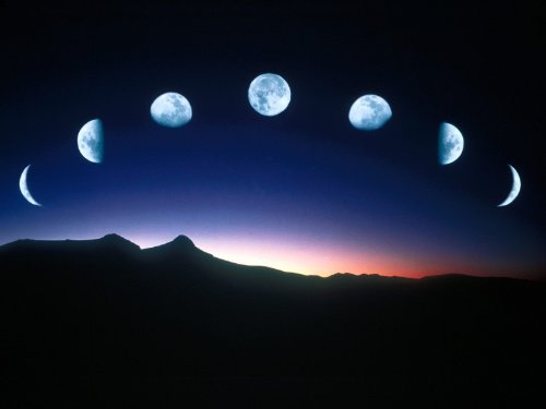 Muhammad's Night Journey