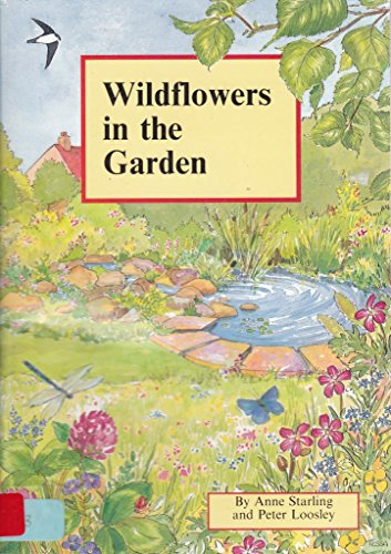 Wildflowers in the Garden