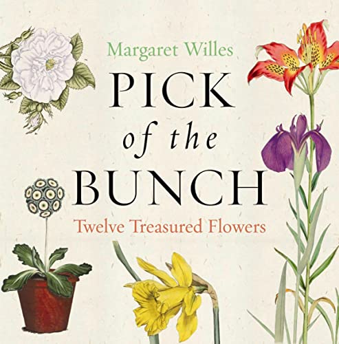Pick of the Bunch