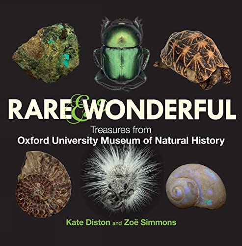 Rare & Wonderful
