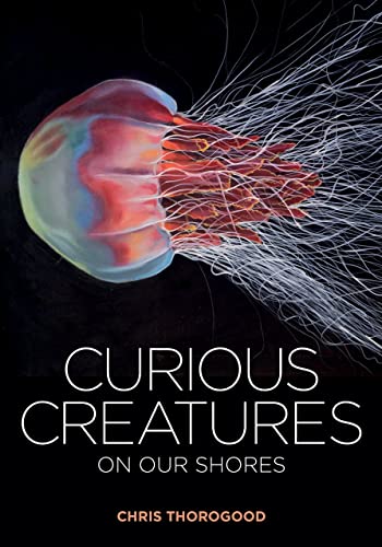 Curious Creatures on our Shores