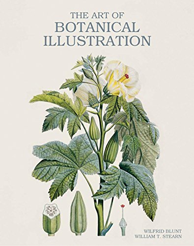 The Art of Botanical Illustration