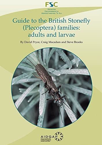 Guide to the British Stonefly (plecoptera) Families: Adults and Larvae