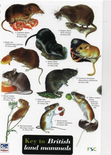 Key to British Land Mammals