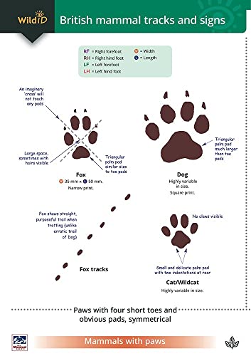 A Guide to British Mammal Tracks and Signs
