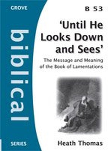 Until He Looks Down and Sees: the message and meaning of the book of Lamentations (Biblical series)