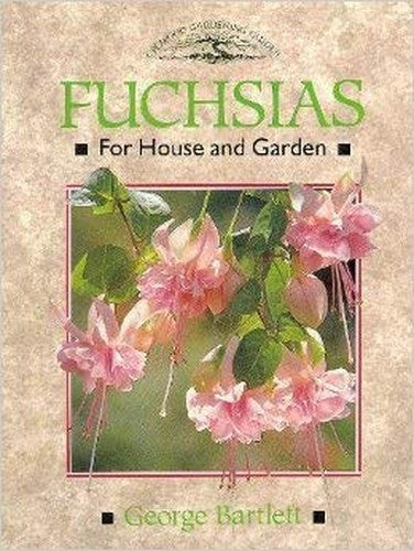 Fuchsias