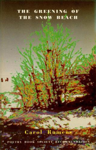 The Greening of the Snow Beach