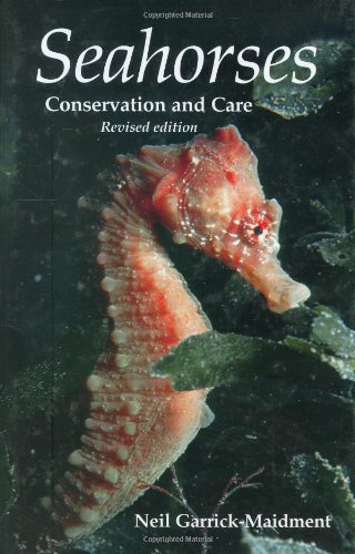 Seahorses