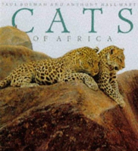 Cats of Africa