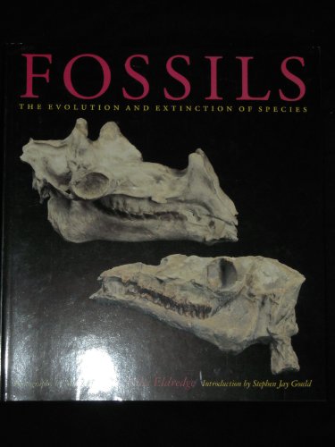 Fossils