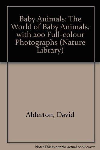 Baby Animals