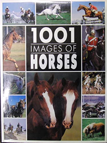 1001 Images of Horses