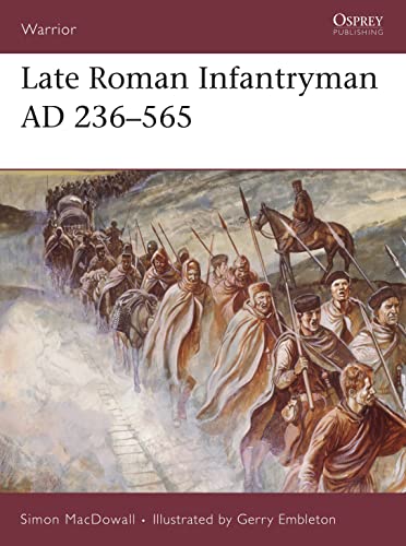 Late Roman Infantryman AD 236565