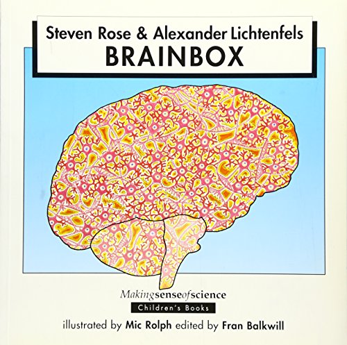 BrainBox