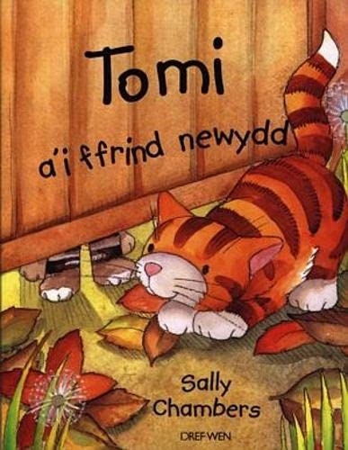 Tomi a'i Ffrind Newydd