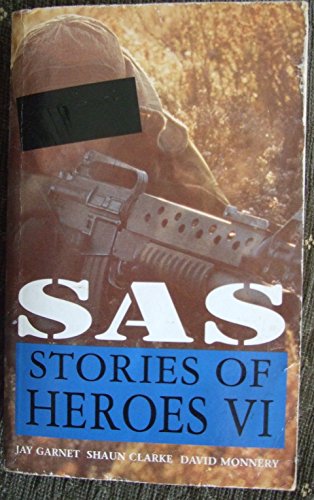 SAS STORIES OF HEROES VI.