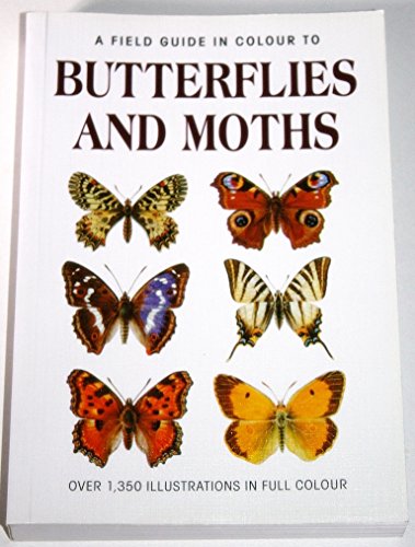 Field Guide to Butterflies and Moths