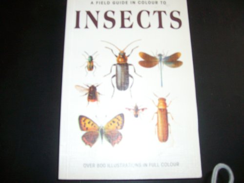 Insects