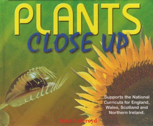 Plants, Close Up