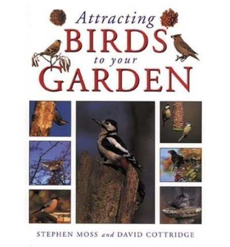 Attracting Birds to Your Garden