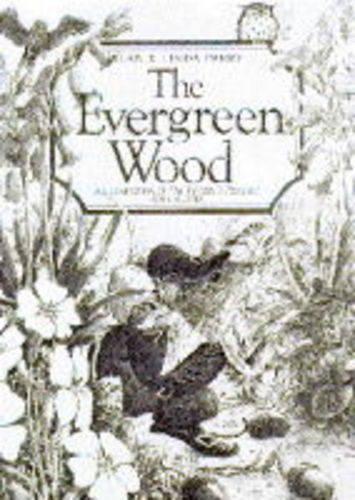 The Evergreen Wood