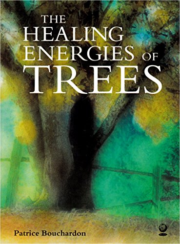 The Healing Energy Of Trees