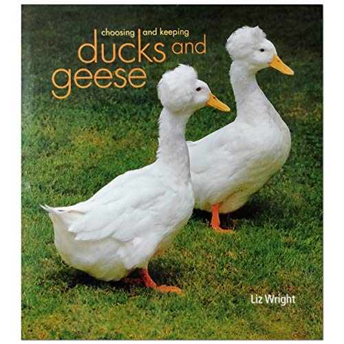 Choosing and Keeping Ducks and Geese