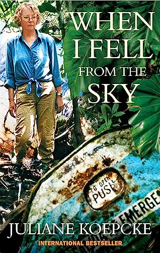 When I Fell From The Sky