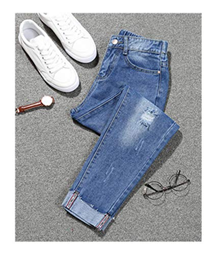 Birmingham: The Sixties Revisited