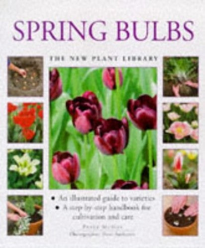 Spring Bulbs