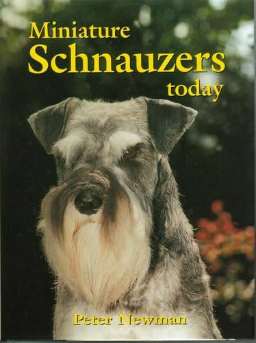 Miniature Schnauzers Today