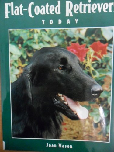 Flat-coated Retrievers Today