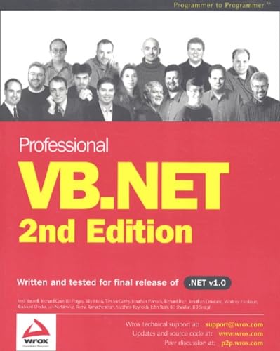 Professional VB.NET