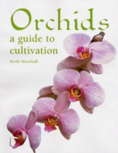 Orchids