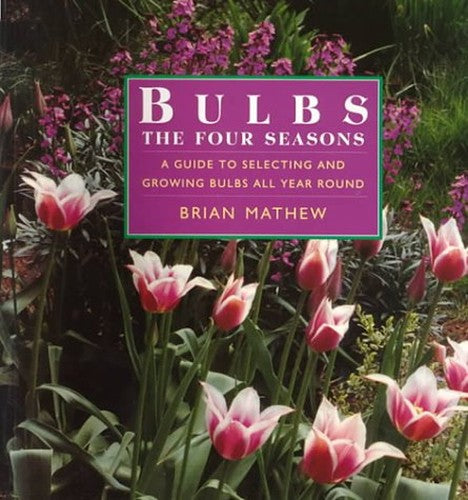BULBS THE FOUR SEASONS