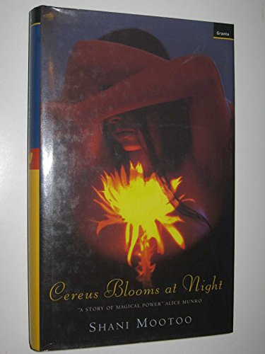 Cereus Blooms at Night