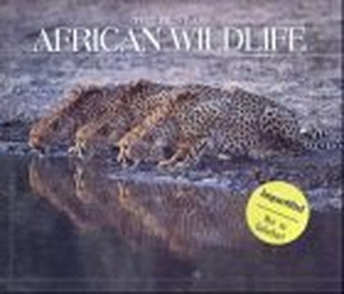 Best of African Wildlife