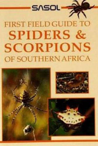 Sasol First Field Guide to Spiders and Scorpions of Southern Africa