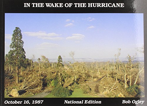In the Wake of the Hurricane