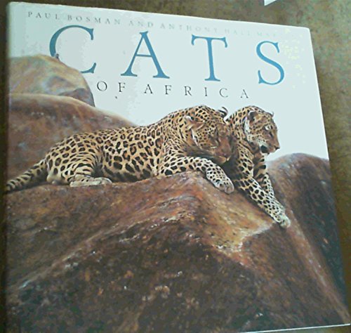 Cats of Africa