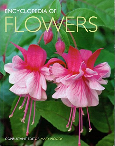 Encyclopedia of Flowers: Over 1,000 Popular Flowers, Flowering Shrubs and Trees