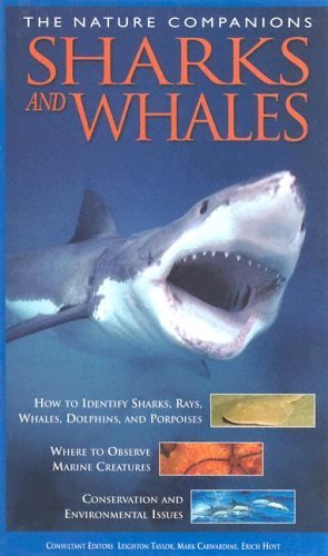 Sharks and Whales