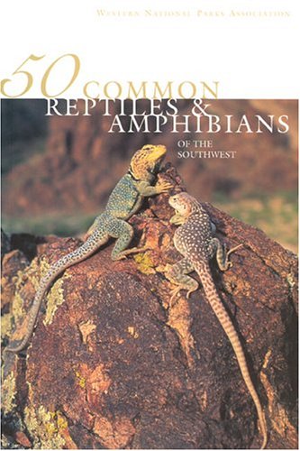 Common Reptiles Amphibians of the Southwest