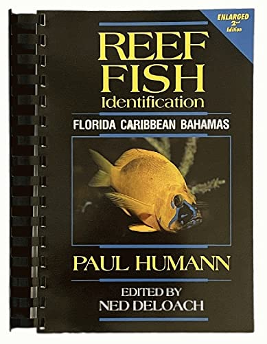Reef Fish Identification