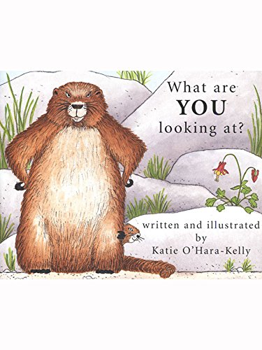 What Are You Looking At Written and Illustrated by Katie OHaraKelly