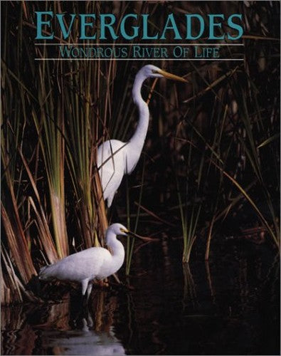 Everglades: Wondrous River of Life