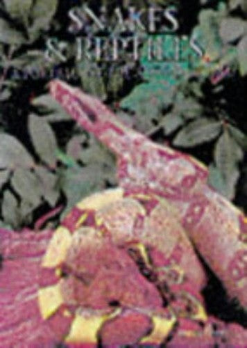 Snakes and Reptiles