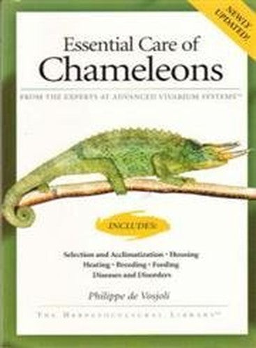 Essential Care of Chameleons