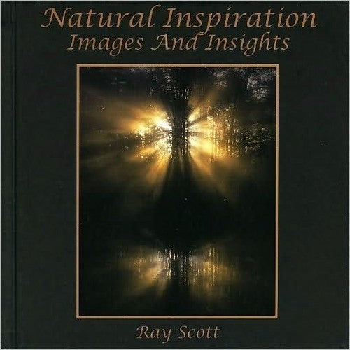 Natural Inspiration Images and Insights